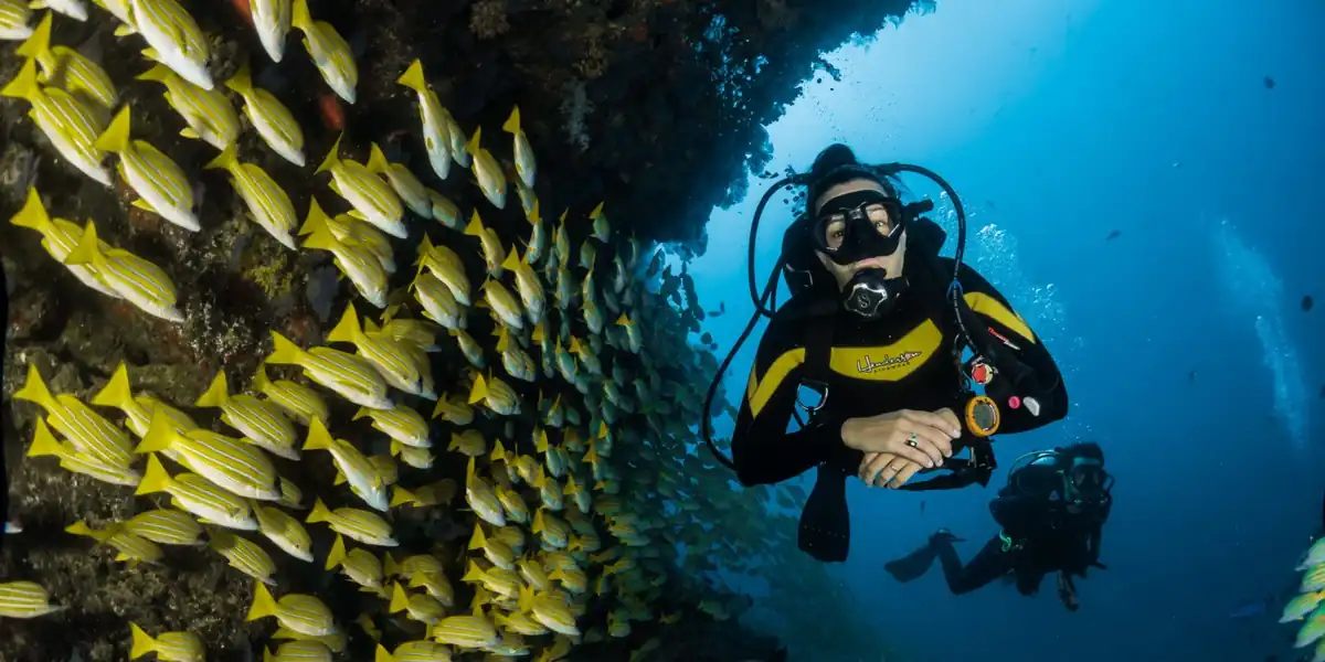 Scuba Diving in Krabi: Take an awesome plunge! - Nature Garden Massage