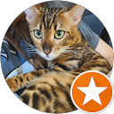 Chira Yolli profile picture